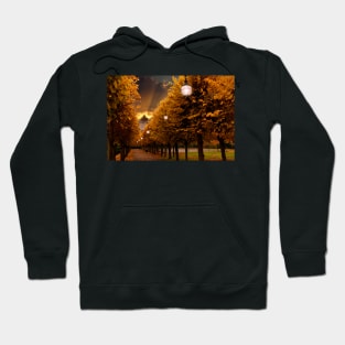 Avenue to the Castle Hoodie